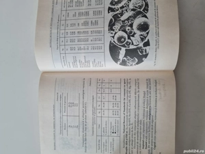 Materiale dentare in cabinetul de stomatologie Dorin Bratu 1994 - imagine 3
