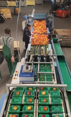 Angajăm cupluri la etichetat