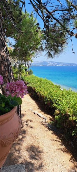 Meditații psihologie, logica, sociologie, pentru examenul de bacalaureat 