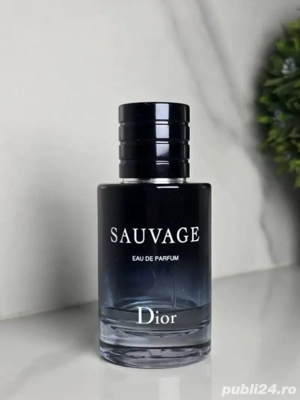 Dior Sauvage, Perfume for Men