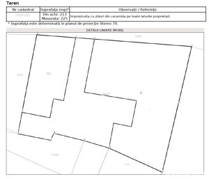 Vilă interbelică de excepție   utilizare mixtă   Ultracentral Odobești - imagine 8