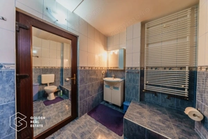 Vila de lux, D+P+E+M, Gradiste, la cheie, 300mp, 6 camere, teren 580mp - imagine 20