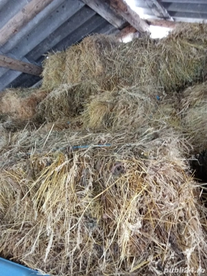 Vând baloți de fan  - imagine 2