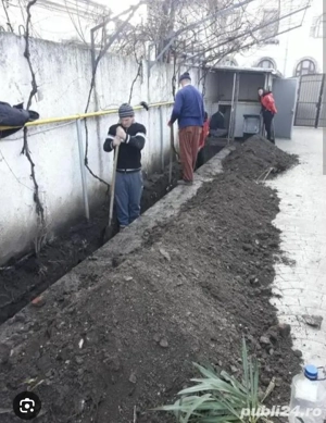 Echipa necalificați executam 