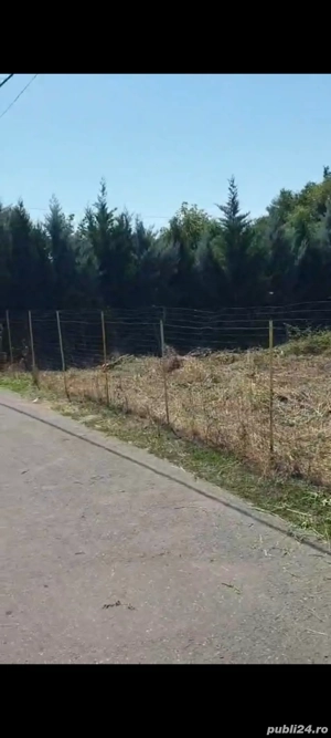 Teren 500 m Saftica Balotești  - imagine 3