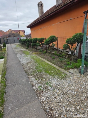 Vând   sau schimb casă  semicentrală  Tg-Jiu  - imagine 3