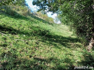 Vand teren - imagine 10