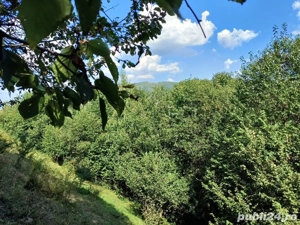 Vand teren - imagine 4