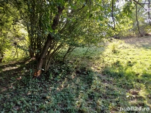 Vand teren - imagine 3