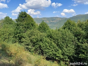 Vand teren - imagine 7