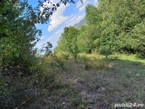 Vand teren - imagine 9