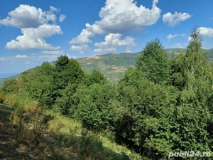 Vand teren - imagine 5