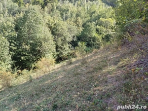 Vand teren - imagine 6