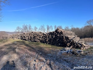 lemne de foc  USCATE !!!