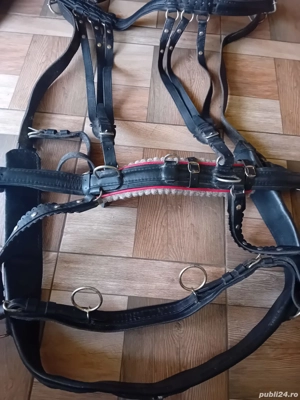 Ham nou pentru cai - imagine 2