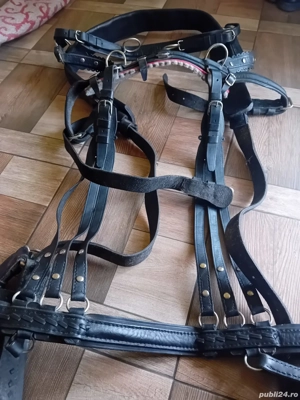 Ham nou pentru cai - imagine 3