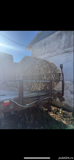 Baloti de diferite tipuri 