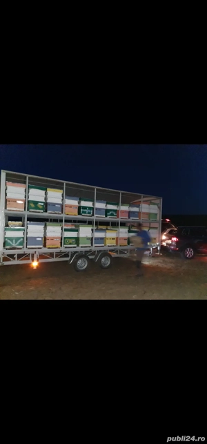 Vând remorci apicole 