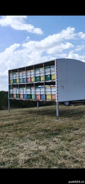 Vând remorci apicole  - imagine 5