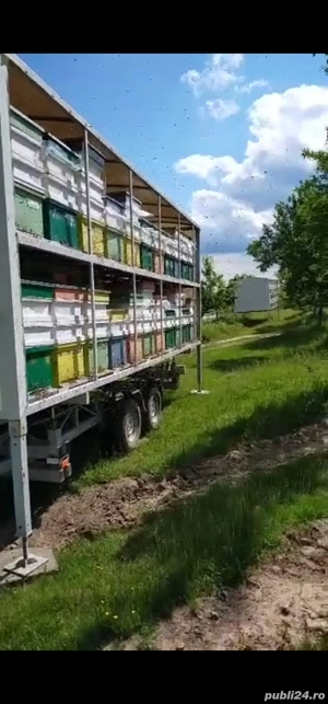 Vând remorci apicole  - imagine 2