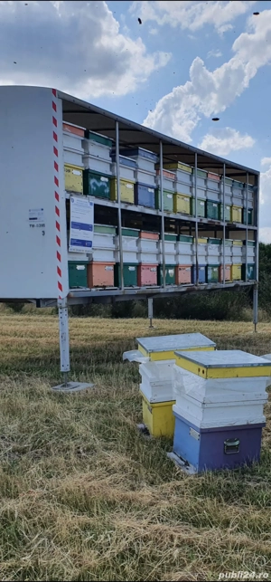 Vând remorci apicole  - imagine 4