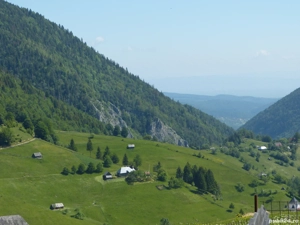 Ocazie! Vand cabana de bustean masiv in sat Pestera, com Moieciu, Brasov - imagine 4