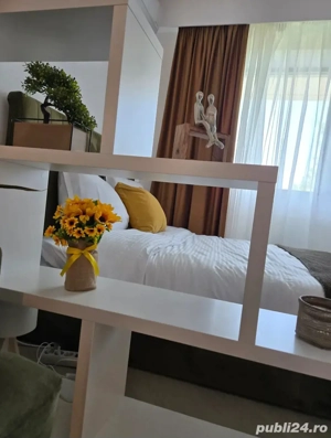 Regim hotelier Pipera, Aviatiei, Voluntari, Baneasa - imagine 2