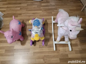 calut balansoar + - imagine 2