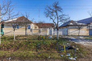 Gospodarie autentică bănățeană, cu teren generos și livadă – Frumușeni