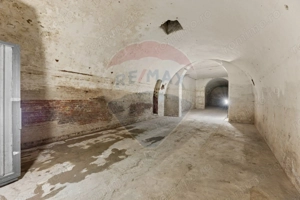 Spațiu comercial de închiriat 450 mp tip pivniță – zona Aradul Nou - imagine 3