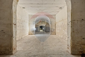 Spațiu comercial de închiriat 450 mp tip pivniță – zona Aradul Nou - imagine 2