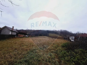 Casă  cu 2 camere si teren de vanzare - imagine 5