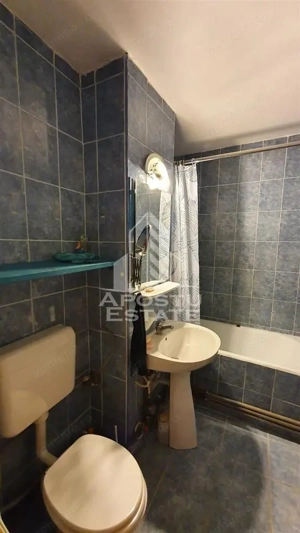 Apartament cu 3 camere, decomandat, etaj intermediar, Freidorf - imagine 9