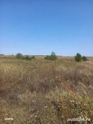 Vanzare teren in comuna Berceni