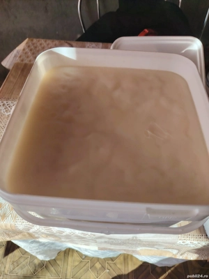 Untura și osânză proaspăta de vânzare nu asigur transport 