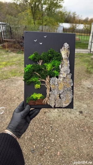 Tablou decorativ natural din licheni și scoarță de copac