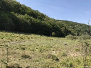 Vand 1ha teren ideal pentru agrement camping, cabane