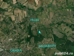 Teren intravilan 5340 mp triplu frontstradal cu asfalt intravilan Paleu - imagine 4