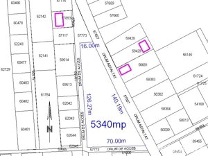 Teren intravilan 5340 mp triplu frontstradal cu asfalt intravilan Paleu - imagine 2