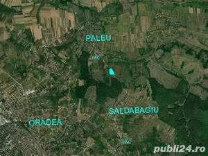 Teren intravilan 5340 mp triplu frontstradal cu asfalt intravilan Paleu - imagine 7