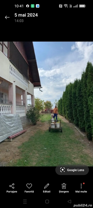 vand cabana cu livada - imagine 3