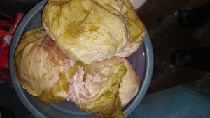 Varza murata de vanzare 