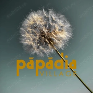 Papadia Village își caută BUCĂTARUL!