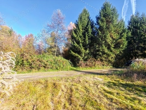 600 mp,800 mp,1000 mp,1600 mp teren Valea Avrigului,Sibiu  - imagine 8