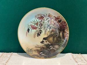 Farfurie de ColecțieLilien Porzellan Igelfamilie auf Herbst-Spaziergang Bradex