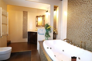 Vila de vanzare Valea Doftanei, Prahova - imagine 12