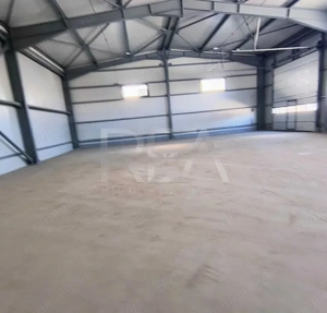 Hale noi de inchiriat Domnesti / Centura 