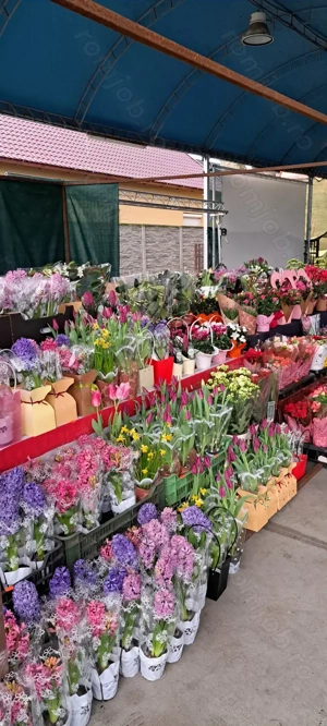 Angajez vanzatoare ambulant !