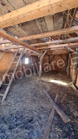  Casă + spațiu comercial + lac de pește, de vânzare ( Vernești Arges ) - imagine 11