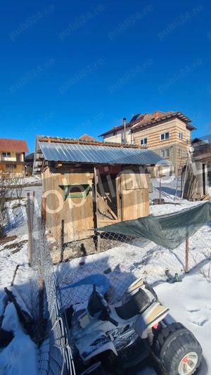  Casă + spațiu comercial + lac de pește, de vânzare ( Vernești Arges ) - imagine 12